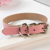 HKM-0521533 PU Leather Dog Collar and Chain - Red, Blue, Black, Pink, Brown, Sky Blue - Sizes XS to XL