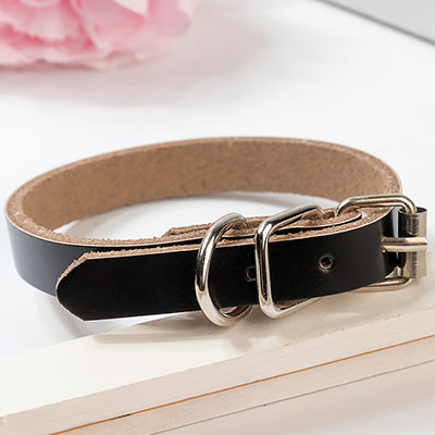 HKM-0521533 PU Leather Dog Collar and Chain - Red, Blue, Black, Pink, Brown, Sky Blue - Sizes XS to XL