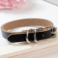 HKM-0521533 PU Leather Dog Collar and Chain - Red, Blue, Black, Pink, Brown, Sky Blue - Sizes XS to XL