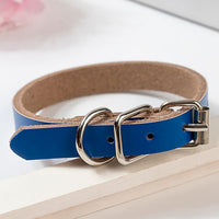 HKM-0521533 PU Leather Dog Collar and Chain - Red, Blue, Black, Pink, Brown, Sky Blue - Sizes XS to XL