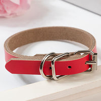 HKM-0521533 PU Leather Dog Collar and Chain - Red, Blue, Black, Pink, Brown, Sky Blue - Sizes XS to XL