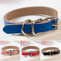 HKM-0521533 PU Leather Dog Collar and Chain - Red, Blue, Black, Pink, Brown, Sky Blue - Sizes XS to XL