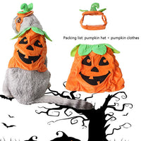 HKM-0523709 Pumpkin Costume Set for Pets with Adjustable Hat and Dress for Halloween