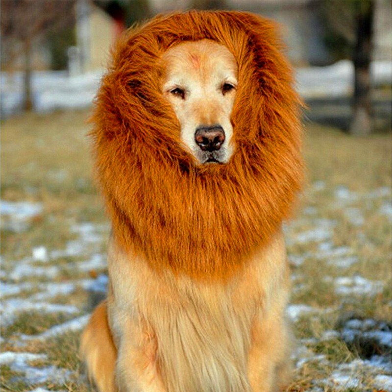 HKM-0531133 Lion Mane Costume Wig for Large Dogs - Fits Head Circumference Up to 74cm