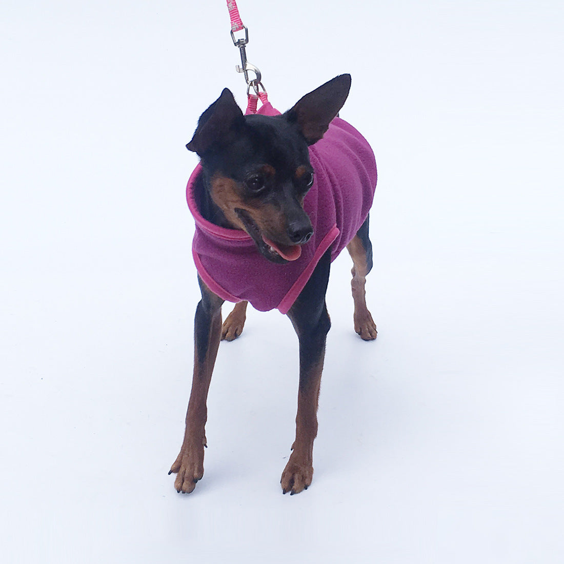 HKM-053587 Cozy Polar Fleece Dog Clothing in Various Colors and Sizes