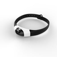 HKM-0542781 Black TPU Laser Toy Collar for Cats with Charging Cable