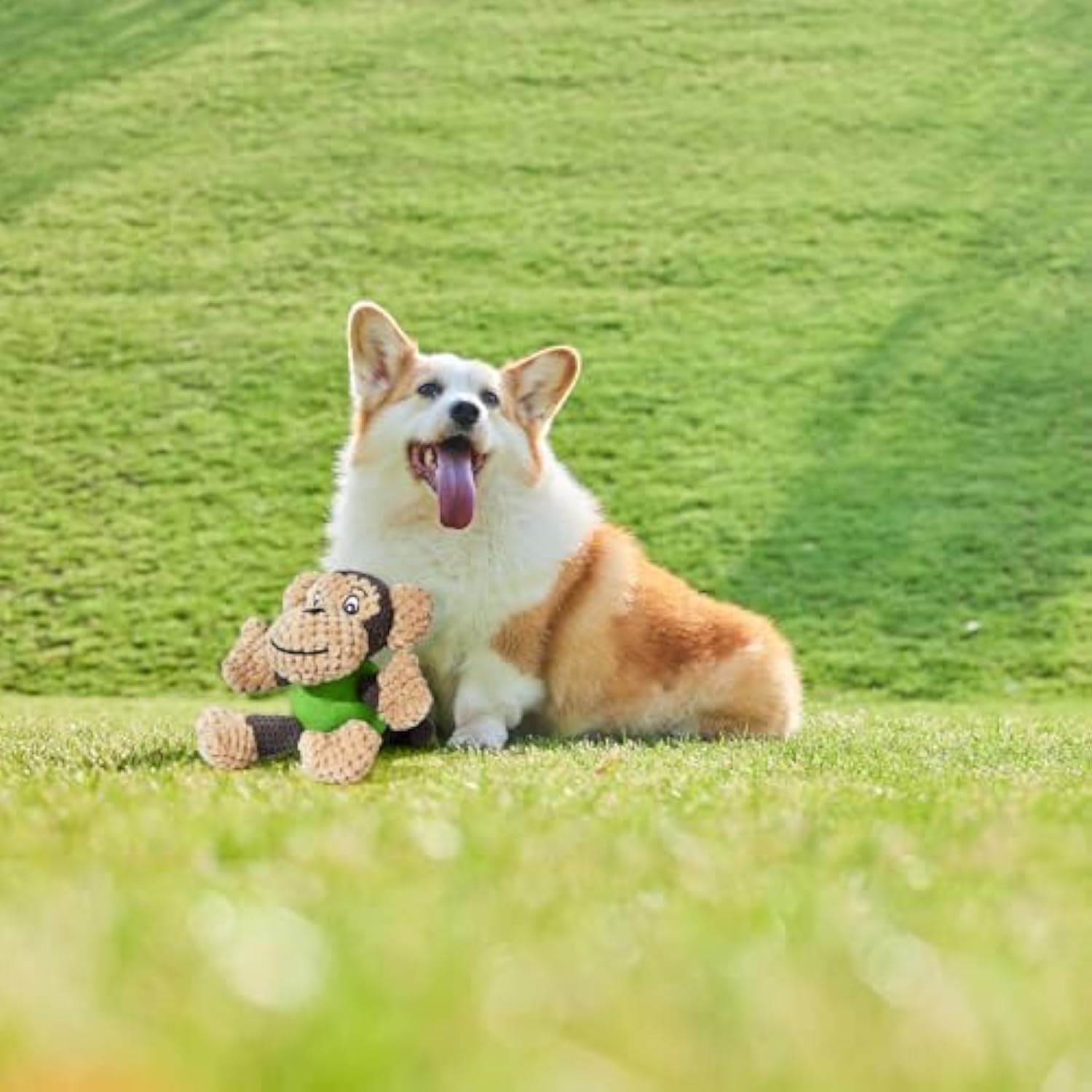 HKM-0548029 Squeaky Plush Monkey Dog Toy - Soft, Durable Chew Toy for Small to Medium Dogs, Ideal for Indoor and Outdoor Play