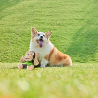 HKM-0548029 Squeaky Plush Monkey Dog Toy - Soft, Durable Chew Toy for Small to Medium Dogs, Ideal for Indoor and Outdoor Play