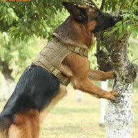 HKM-0548925 Medium Tactical Vest for Dogs - Unisex Nylon, Multiple Colors Available