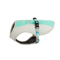 HKM-0550717 Cooling Vest for Dogs - Summer Heatproof Pet Clothing in Blue, Orange, Green, Sizes S-XL