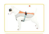 HKM-0550717 Cooling Vest for Dogs - Summer Heatproof Pet Clothing in Blue, Orange, Green, Sizes S-XL