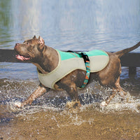 HKM-0550717 Cooling Vest for Dogs - Summer Heatproof Pet Clothing in Blue, Orange, Green, Sizes S-XL