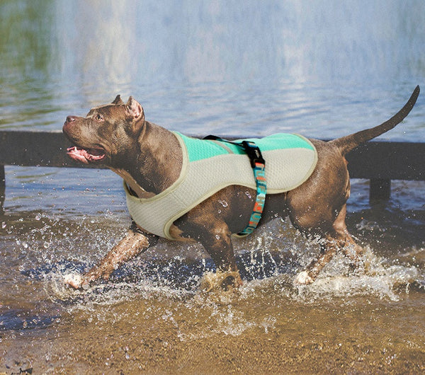 HKM-0550717 Cooling Vest for Dogs - Summer Heatproof Pet Clothing in Blue, Orange, Green, Sizes S-XL