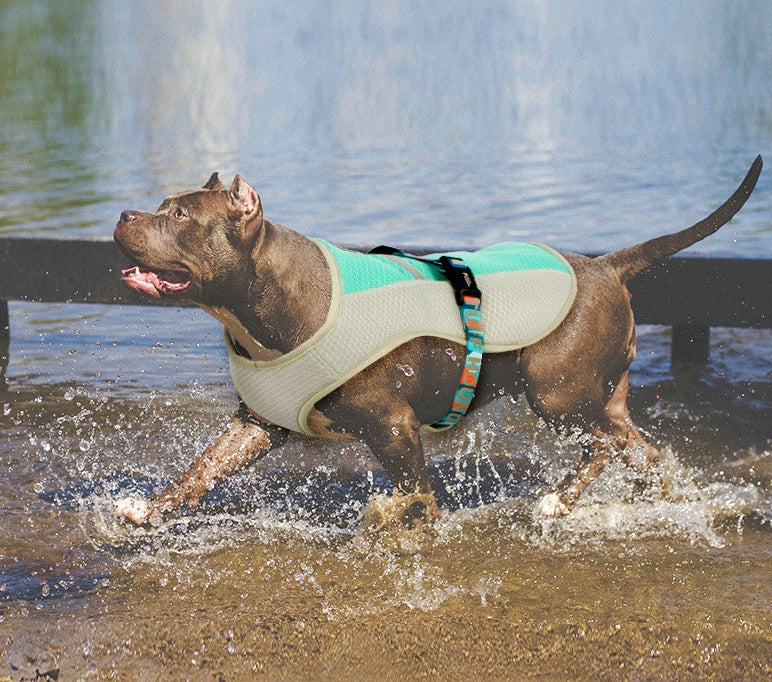 HKM-0550717 Cooling Vest for Dogs - Summer Heatproof Pet Clothing in Blue, Orange, Green, Sizes S-XL