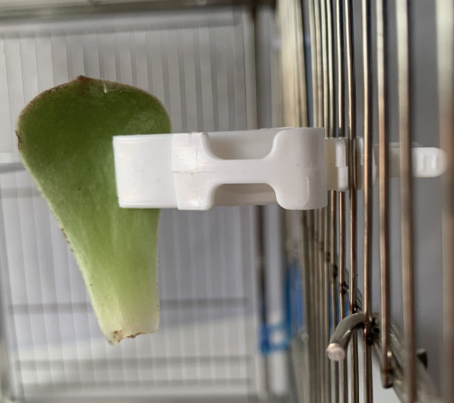 HKM-0552509 Parrot Fruit Basket and Vegetable Clips Feeder Set for Avian Nutrition