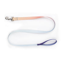 HKM-0561853 Nylon Pet Collar and Traction Rope Set in Vibrant Gradient Colors