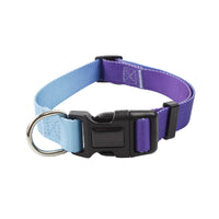 HKM-0561853 Nylon Pet Collar and Traction Rope Set in Vibrant Gradient Colors