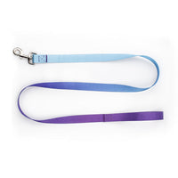 HKM-0561853 Nylon Pet Collar and Traction Rope Set in Vibrant Gradient Colors