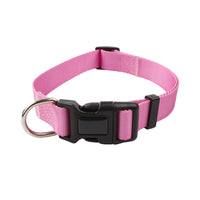 HKM-0561853 Nylon Pet Collar and Traction Rope Set in Vibrant Gradient Colors