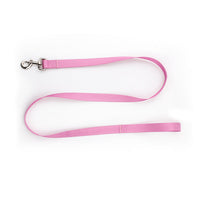 HKM-0561853 Nylon Pet Collar and Traction Rope Set in Vibrant Gradient Colors