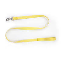 HKM-0561853 Nylon Pet Collar and Traction Rope Set in Vibrant Gradient Colors
