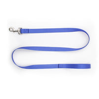 HKM-0561853 Nylon Pet Collar and Traction Rope Set in Vibrant Gradient Colors
