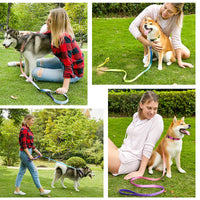 HKM-0561853 Nylon Pet Collar and Traction Rope Set in Vibrant Gradient Colors