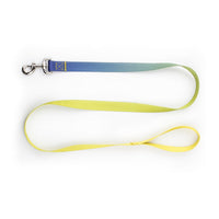 HKM-0561853 Nylon Pet Collar and Traction Rope Set in Vibrant Gradient Colors
