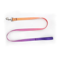 HKM-0561853 Nylon Pet Collar and Traction Rope Set in Vibrant Gradient Colors