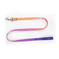 HKM-0561853 Nylon Pet Collar and Traction Rope Set in Vibrant Gradient Colors