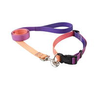 HKM-0561853 Nylon Pet Collar and Traction Rope Set in Vibrant Gradient Colors