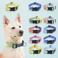 HKM-0561853 Nylon Pet Collar and Traction Rope Set in Vibrant Gradient Colors