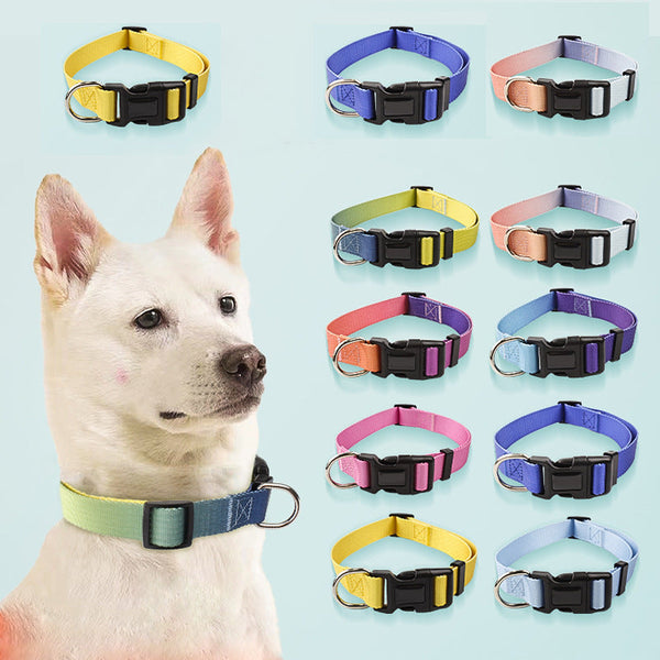 HKM-0561853 Nylon Pet Collar and Traction Rope Set in Vibrant Gradient Colors