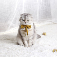 HKM-0565437 Charming Floral Bow Tie Collar for Pets in Green, Pink, and White