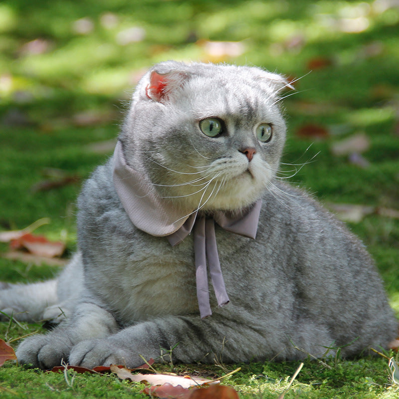 HKM-0565437 Charming Floral Bow Tie Collar for Pets in Green, Pink, and White
