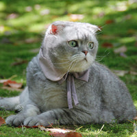 HKM-0565437 Charming Floral Bow Tie Collar for Pets in Green, Pink, and White