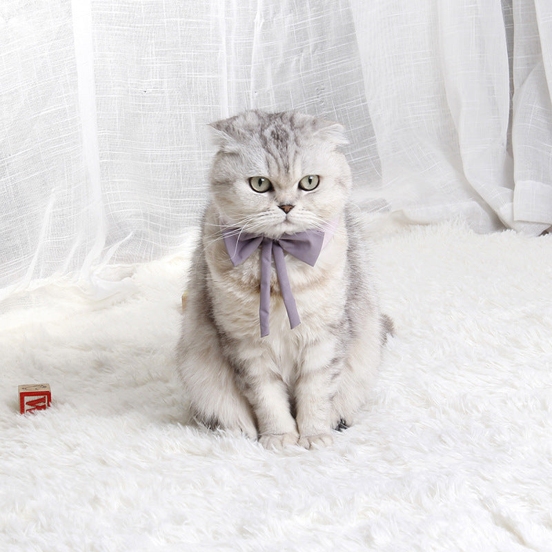 HKM-0565437 Charming Floral Bow Tie Collar for Pets in Green, Pink, and White