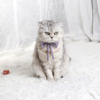 HKM-0565437 Charming Floral Bow Tie Collar for Pets in Green, Pink, and White