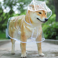HKM-0566205 Transparent Blue Edge Dog Raincoat for Medium to Large Pets in Multiple Sizes