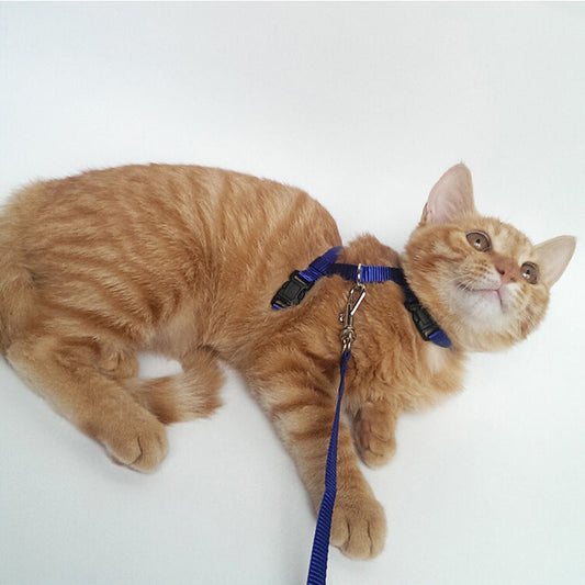 HKM-0567101 Adjustable Cat Chest Sling with 1.2m Nylon Leash for Secure Outdoor Exploration