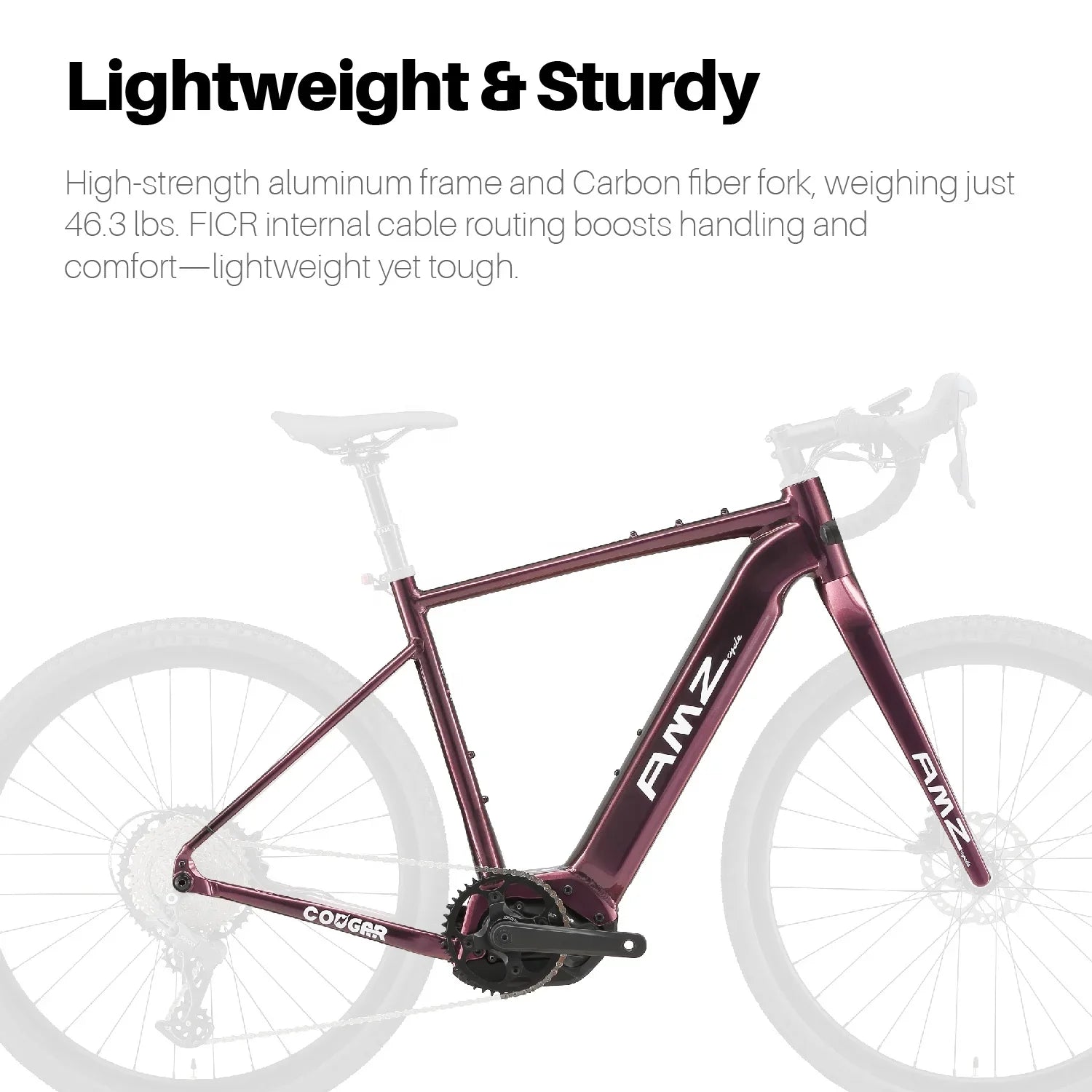 HKM-056979 500W Mid Motor Aluminum Alloy Frame Electric Gravel Bike with 12-Speed Gear and 48V 15Ah Battery