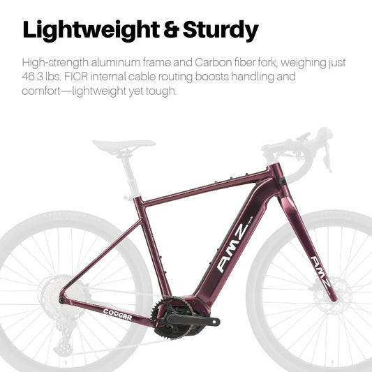 HKM-056979 500W Mid Motor Aluminum Alloy Frame Electric Gravel Bike with 12-Speed Gear and 48V 15Ah Battery