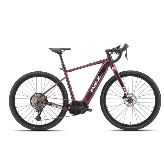 HKM-056979 500W Mid Motor Aluminum Alloy Frame Electric Gravel Bike with 12-Speed Gear and 48V 15Ah Battery