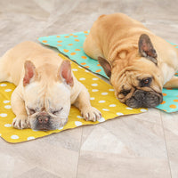 HKM-056979 Pet gel ice pad