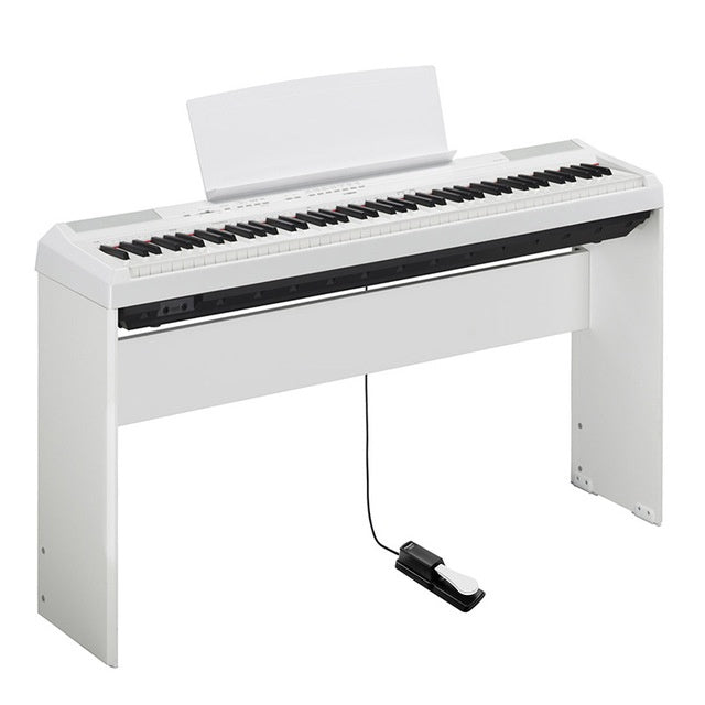 HKM-057107 Universal Electronic Piano Sustain Pedal with 1.7m Cable, 6.5mm Interface, Metal and ABS Construction