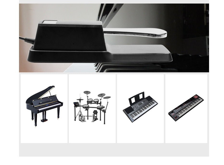 HKM-057107 Universal Electronic Piano Sustain Pedal with 1.7m Cable, 6.5mm Interface, Metal and ABS Construction