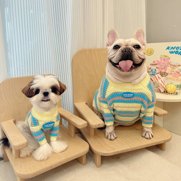 HKM-0571581 Cozy Blue and Yellow Striped Sweater for Small Dogs - XS to XXL