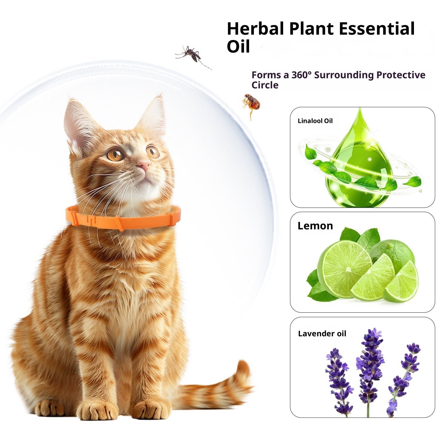 HKM-0585149 Adjustable Anti-Bite Collar for Dogs and Cats - Monochrome PVC Design, Available in Four Colors