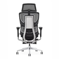 HKM-059027 Ergonomic Mesh High Back Office Chair with Swivel Function and Adjustable Features