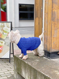 HKM-0598589 Bichon Corgi Wool Winter Sweater in Blue, Available in L/XL/XXL/3XL